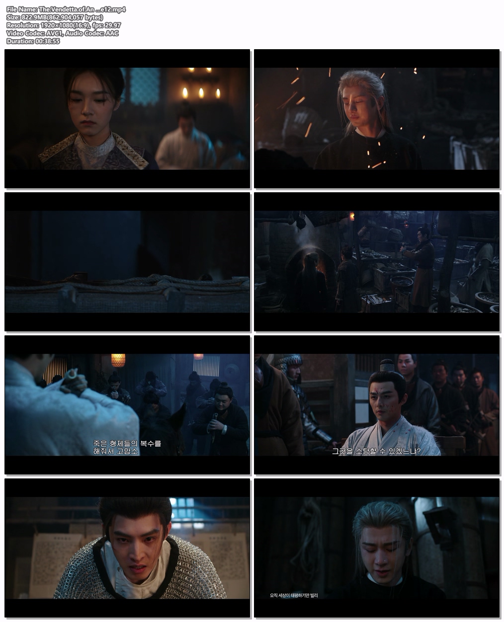 The.Vendetta.of.An ...EP12 H264.AAC 1080p