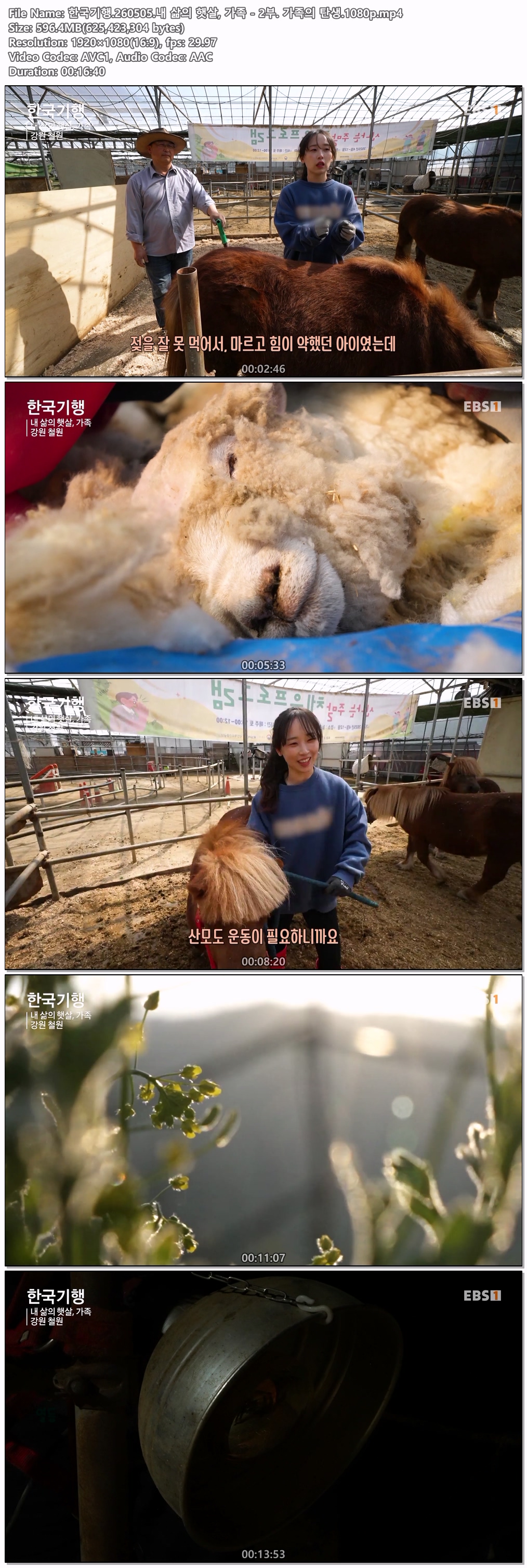 한국기행.260505.내 삶의 햇살, 가족 - 2부. 가족의 탄생.1080p