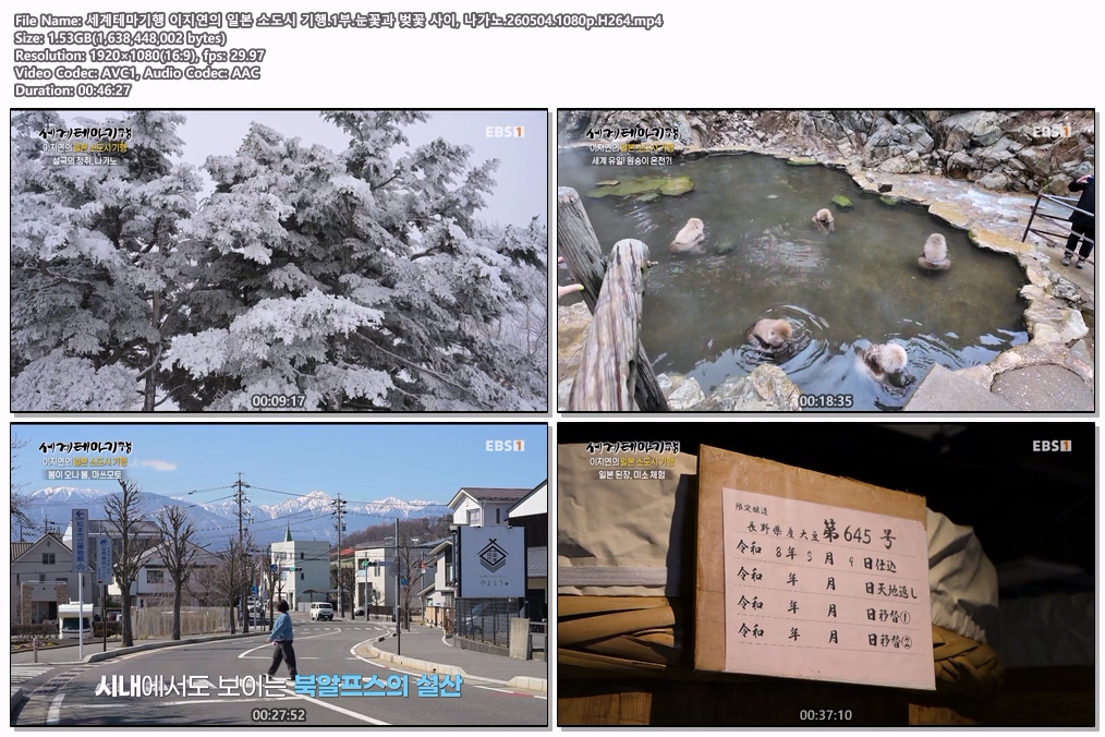 세계테마기행 이지연의 일본 소도시 기행.1부.눈꽃과 벚꽃 사이, 나가노.260504.1080p.H264
