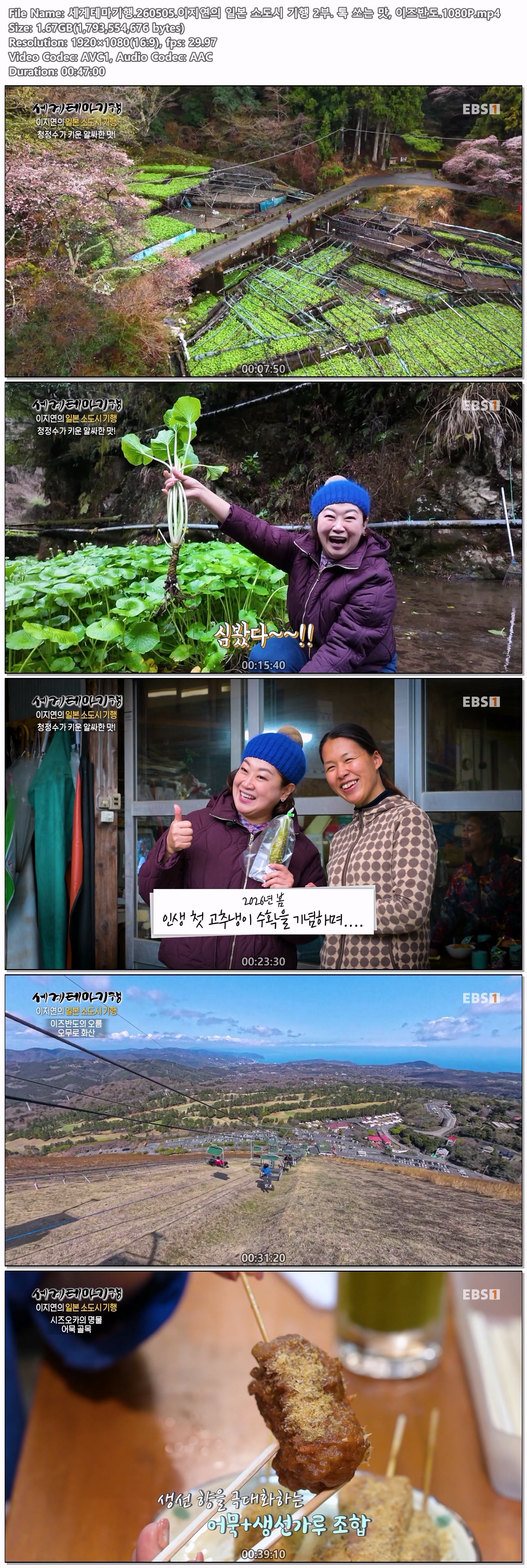 세계테마기행.260505.이지연의 일본 소도시 기행 2부. 톡 쏘는 맛, 이즈반도.1080P