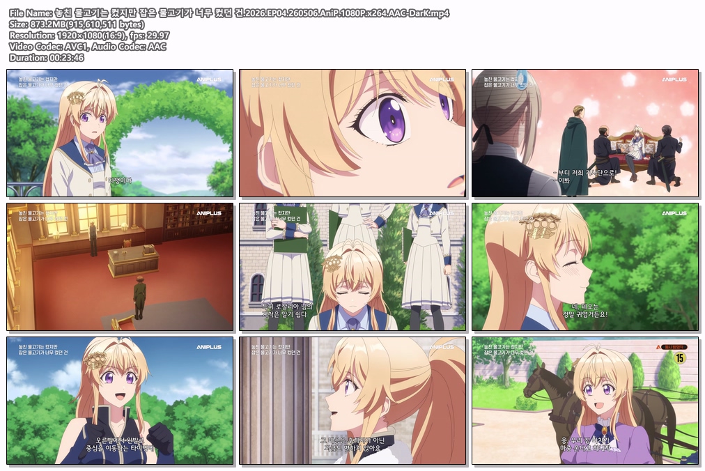 놓친 물고기는 컸지만 잡은 물고기가 너무 컸던 건.2026.EP04.260506.AniP.1080P.x264.AAC-DarK