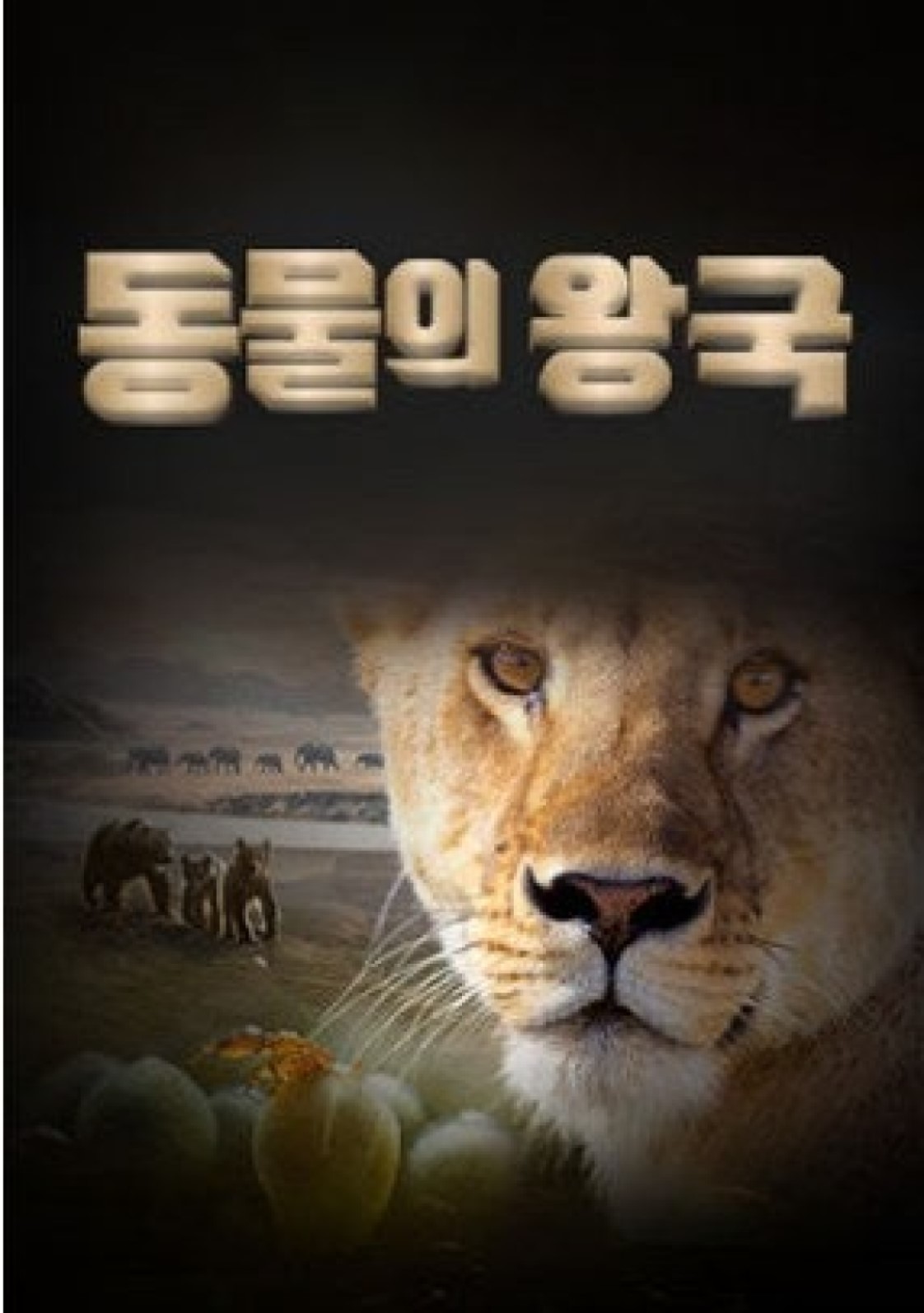 동물의 왕국.260504.720p-NEXT