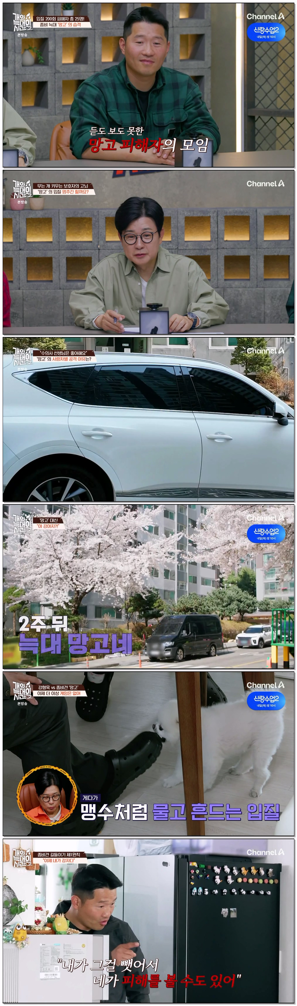 개와 늑대의 시간 2.E17.260506.720p-NEXT