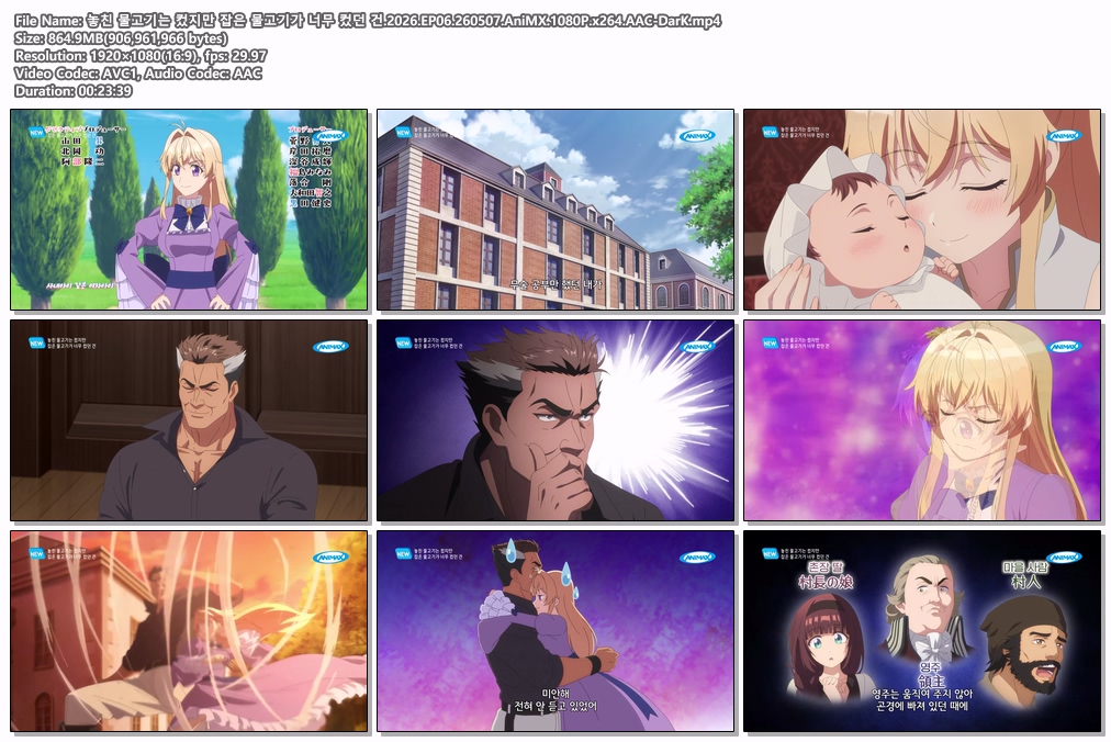 놓친 물고기는 컸지만 잡은 물고기가 너무 컸던 건.2026.EP06.260507.AniMX.1080P.x264.AAC-DarK