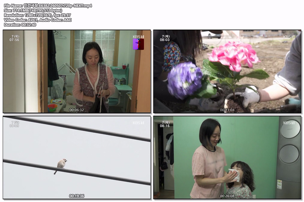 인간극장.E6382.260507.720p-NEXT