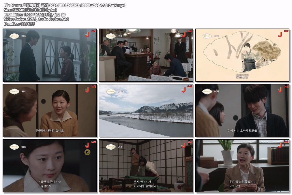 호랑이에게 날개.2024.EP91-92.2605..