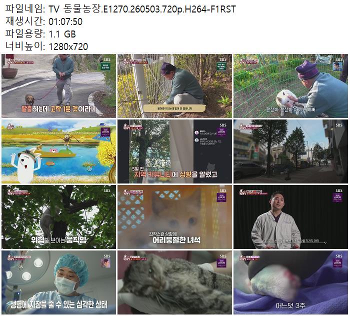 TV 동물농장.E1270.260503.720p.H264-F1RST