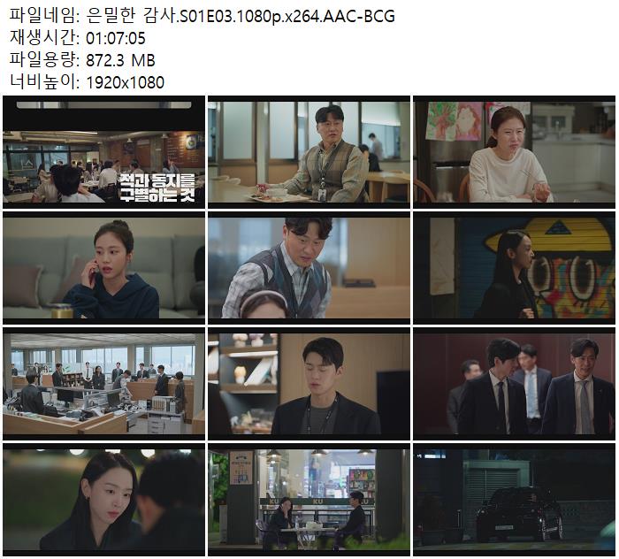 은밀한 감사.S01E03.1080p.x264.AAC-BCG