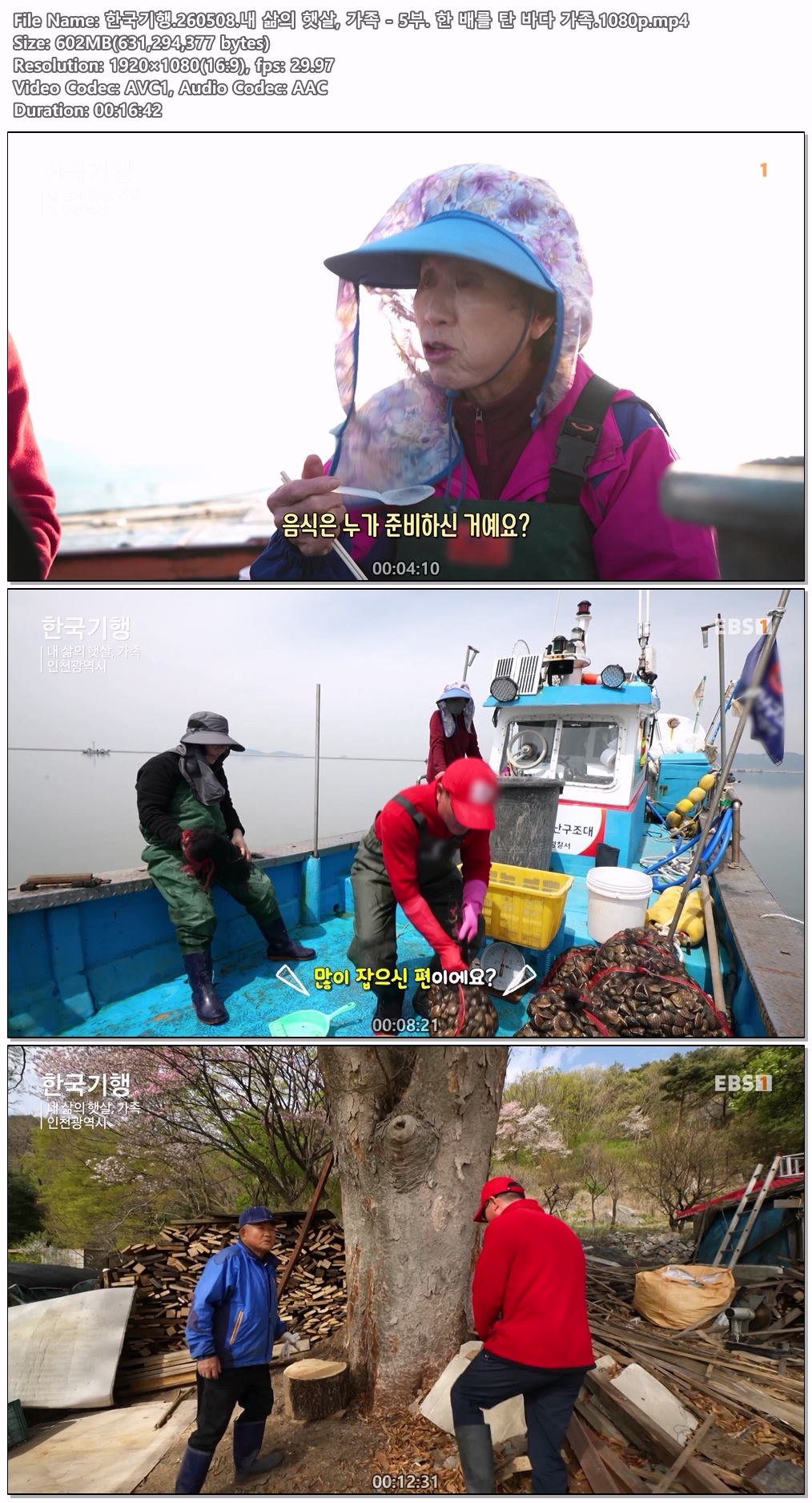 한국기행.260508.내 삶의 햇살, 가족 - 5부. 한 배를 탄 바다 가족.1080p