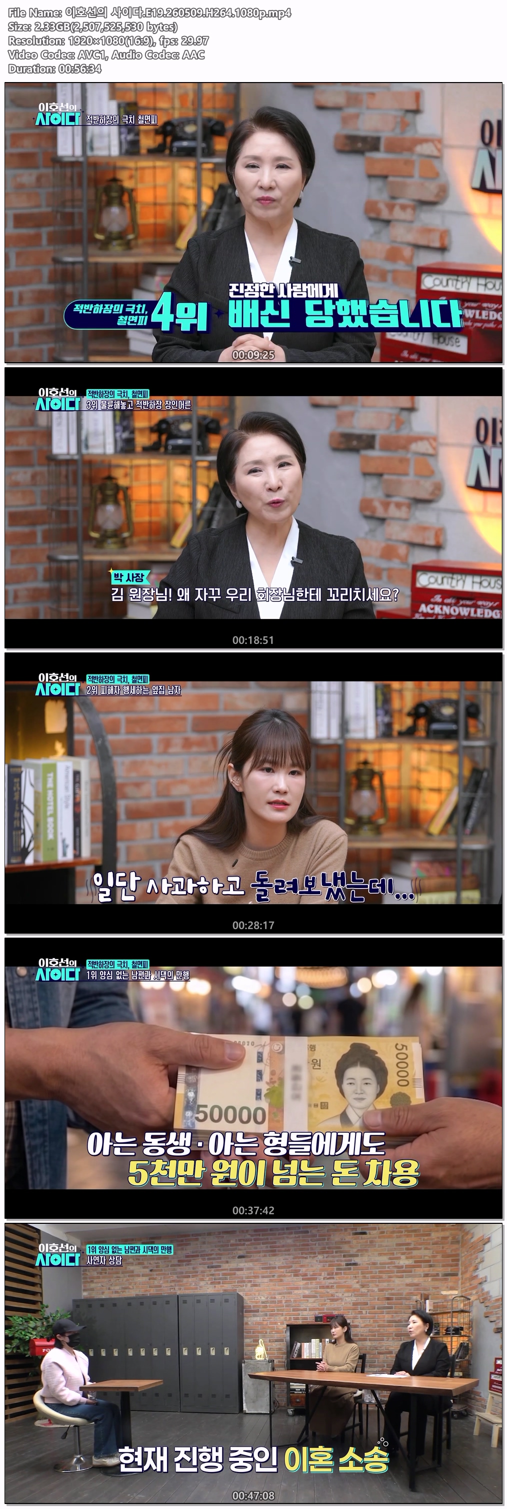 이호선의 사이다.E19.260509.H264.1080p