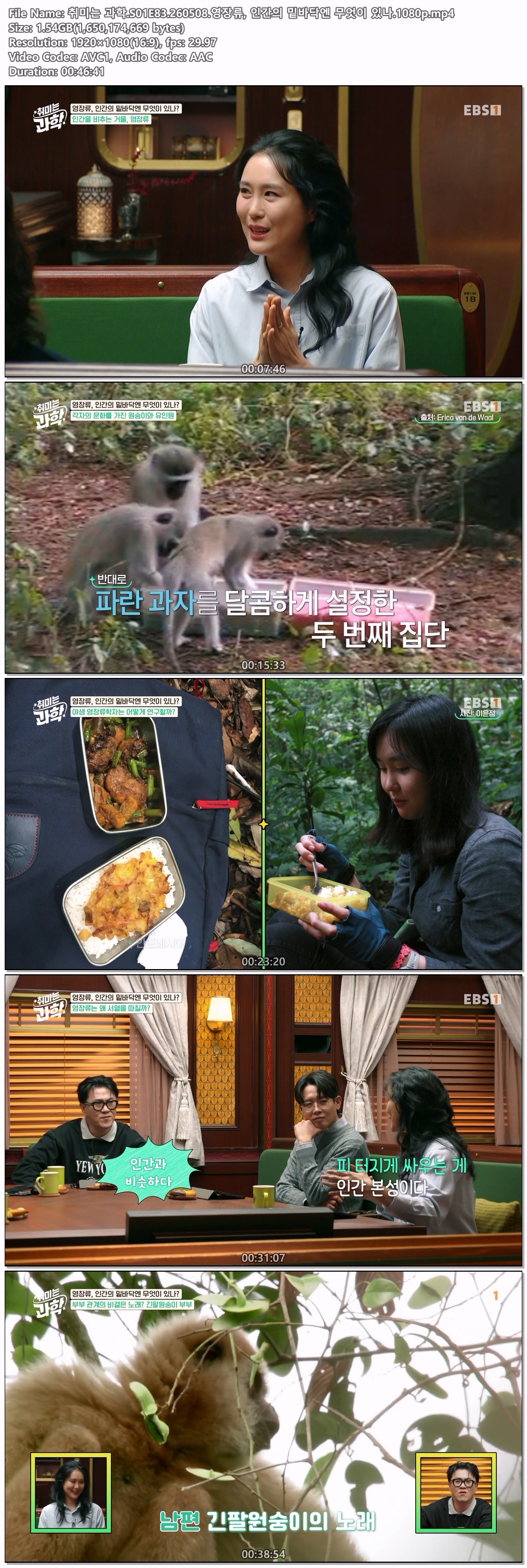 취미는 과학.S01E83.260508.영장류, 인간의 밑바닥엔 무엇이 있나.1080p