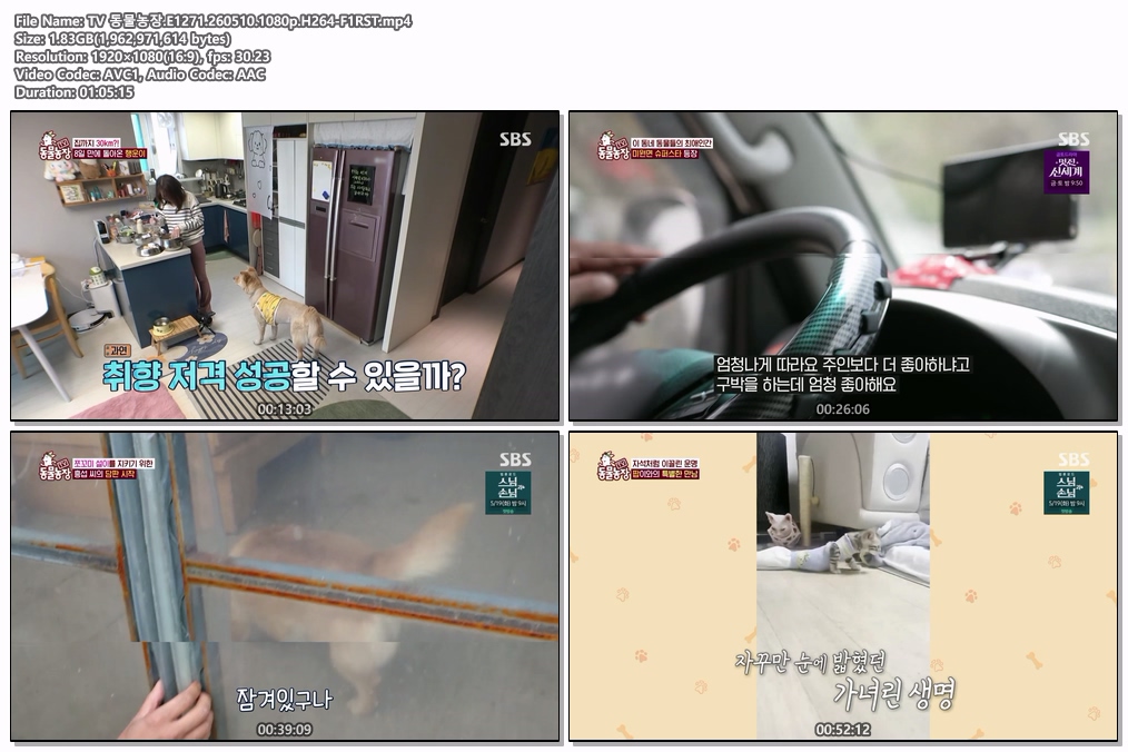 TV 동물농장.E1271.260510.1080p.H264-F1RST