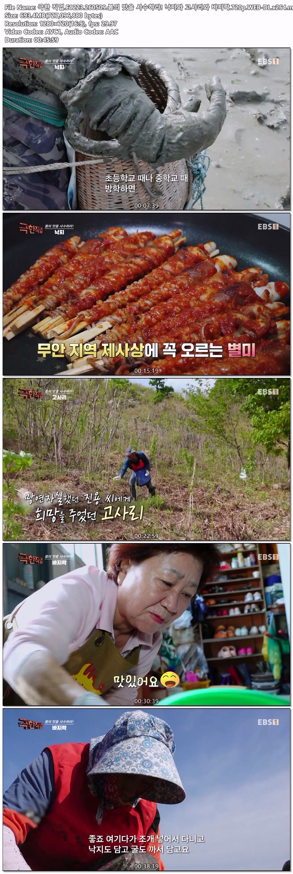 극한 직업.E1223.260509.봄의 맛을 사수하라! 낙지와 고사리와 바지락.720p.WEB-DL.x264
