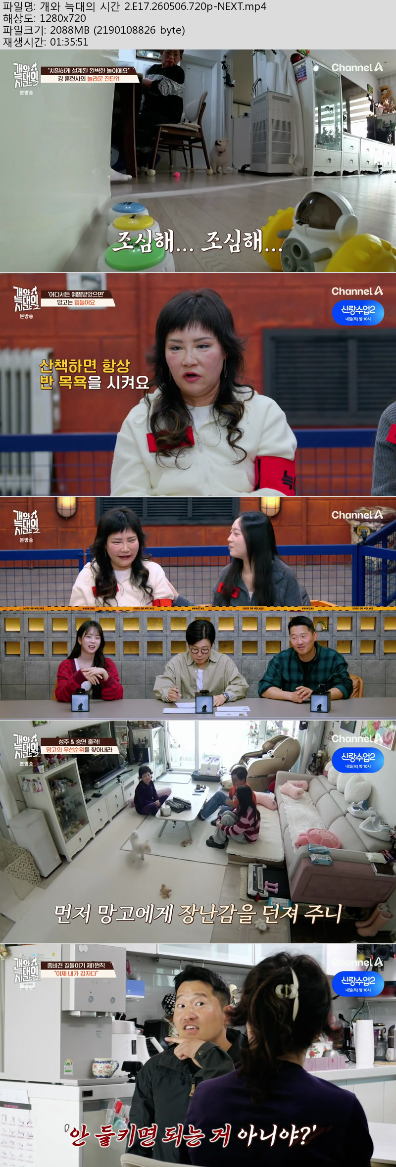 개와 늑대의 시간 2.E17.260506.720p-NEXT