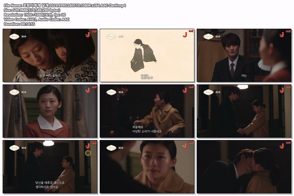 호랑이에게 날개.2024.EP95.260510.1080P.x264.AAC-DarK