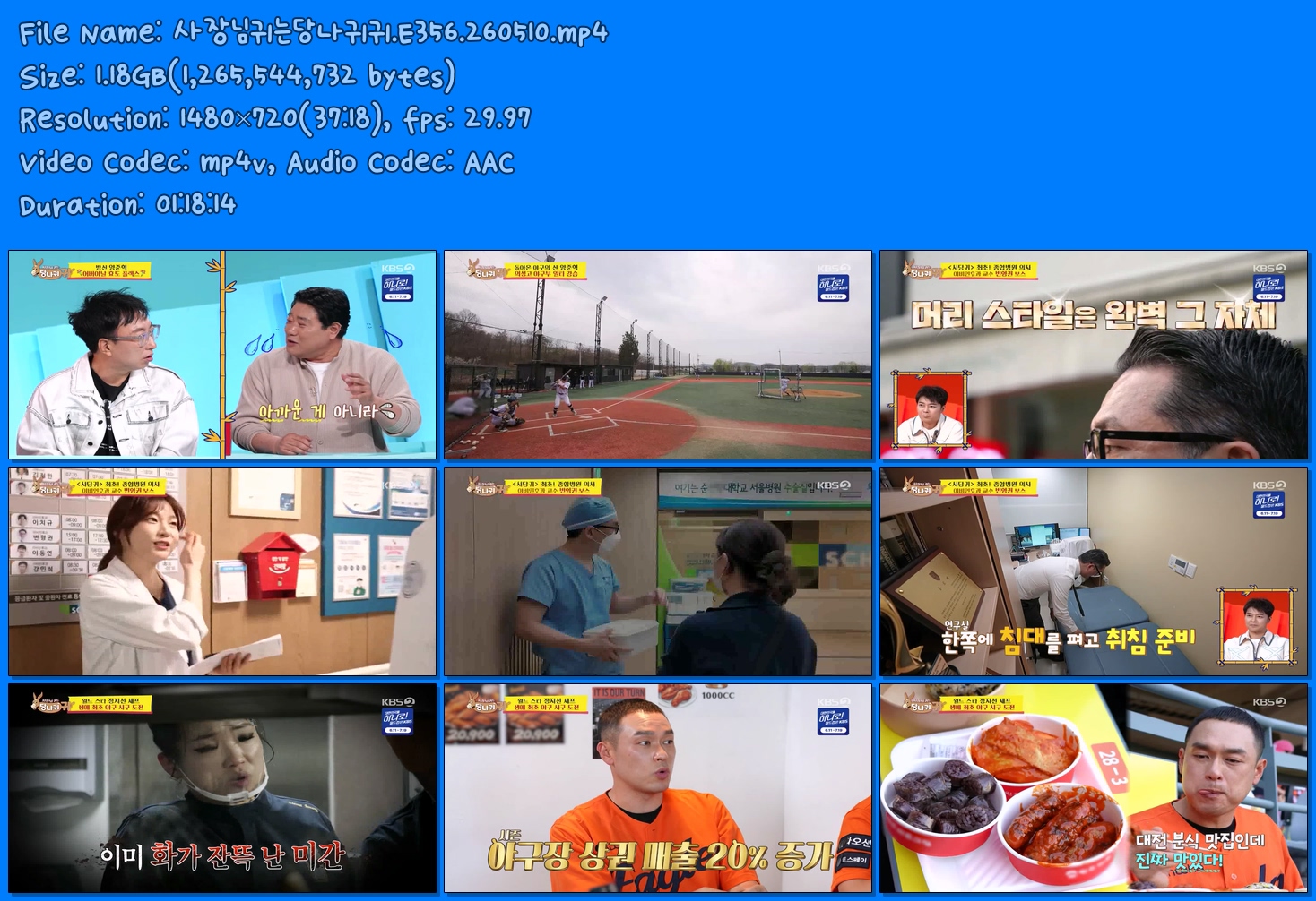 사장님귀는당나귀귀.E356.260510