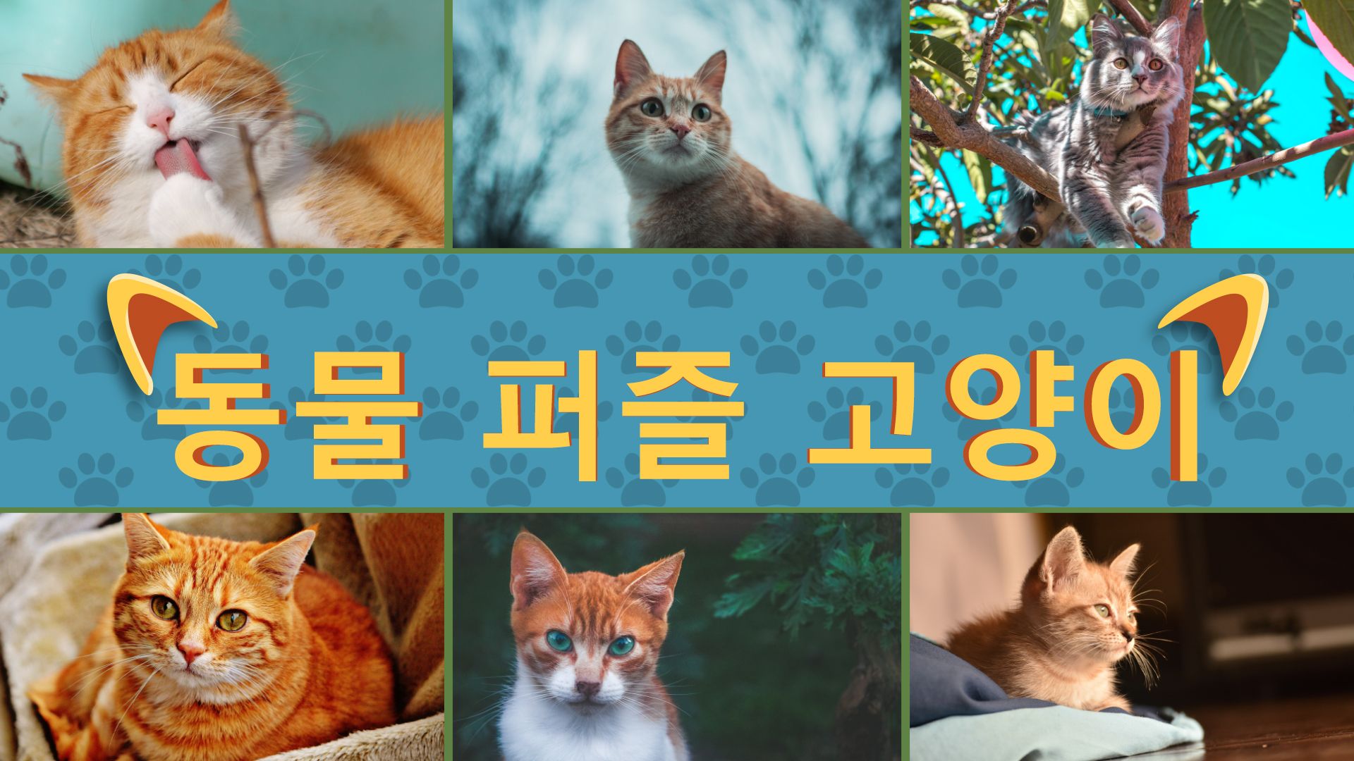 [NSW] 동물 퍼즐 고양이 (Animal Puzzle Cats)