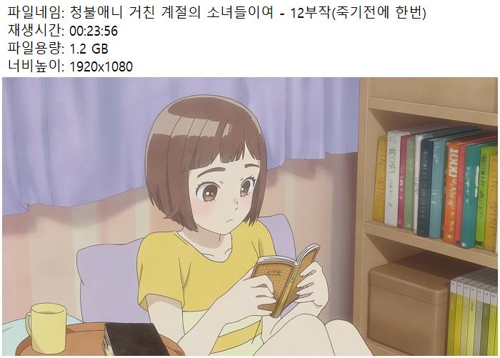 청불애니 거친 계절의 소녀들이여 - 12부작(죽기전에 한번) 한글자막 720