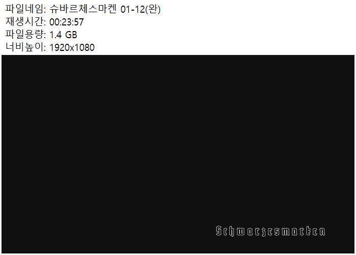 슈바르체스마켄 01-12(완)720 한글자막