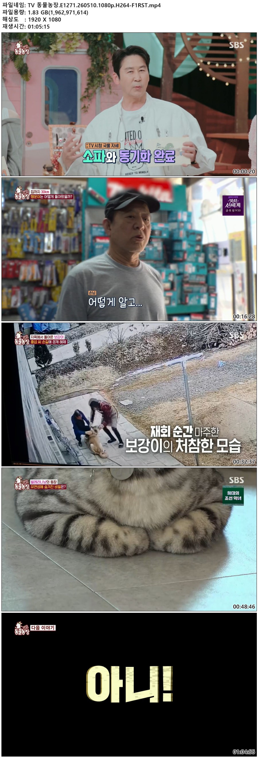 TV 동물농장.E1271.260510.1080p.H264-F1RST