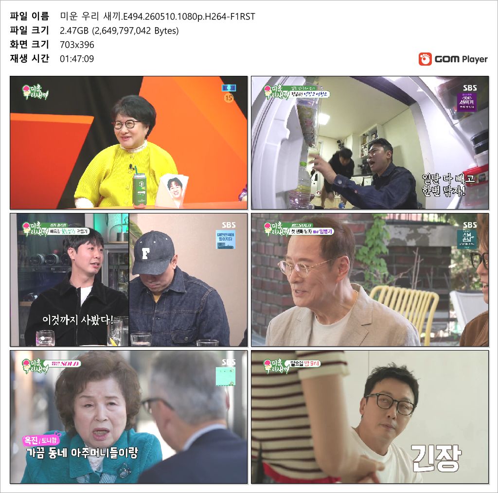 미운 우리 새끼.E494.260510.1080p.H264-F1RST