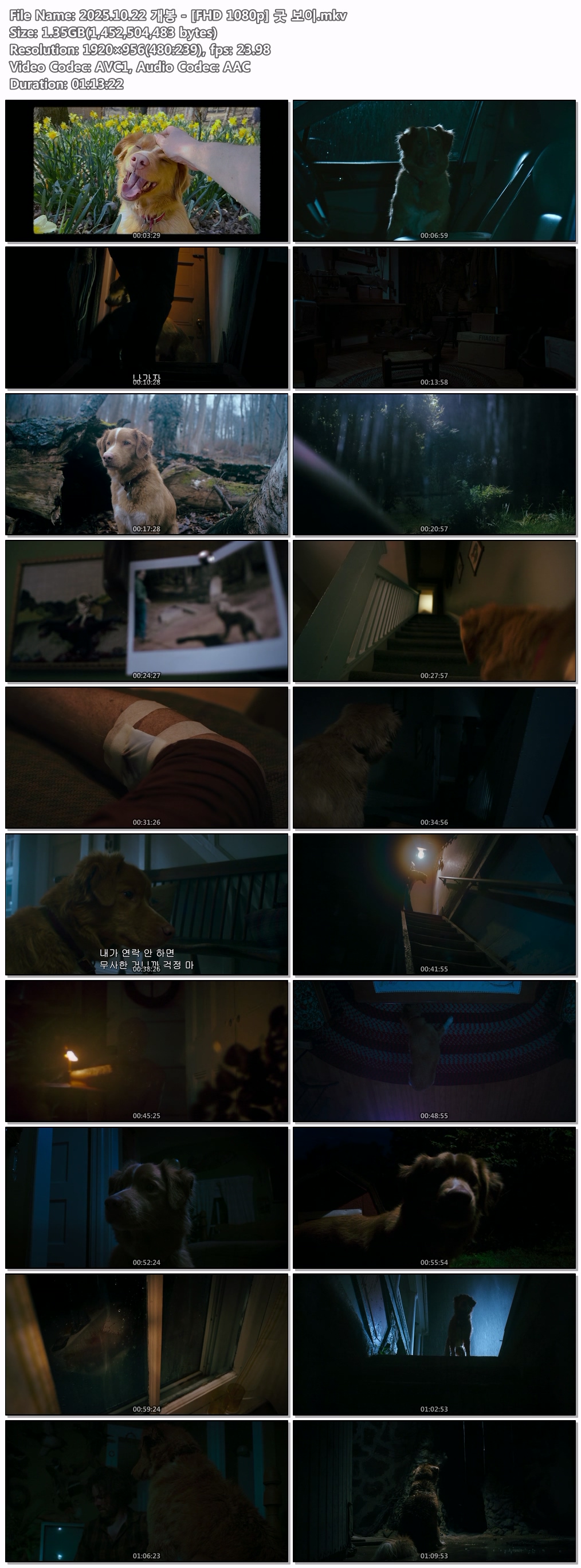 2025.10.22 개봉 - [FHD 1080p] 굿 보이