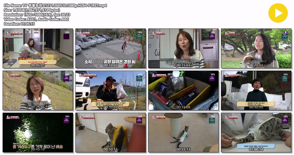 TV 동물농장.E1271.260510.1080p.H264-F1RST