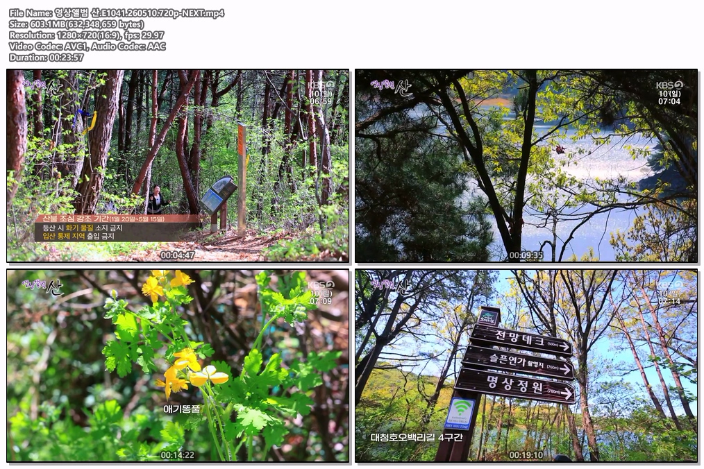 영상앨범 산.E1041.260510.720p-NEXT