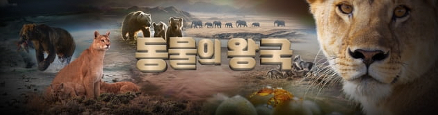 동물의 왕국.260510.720p-NEXT