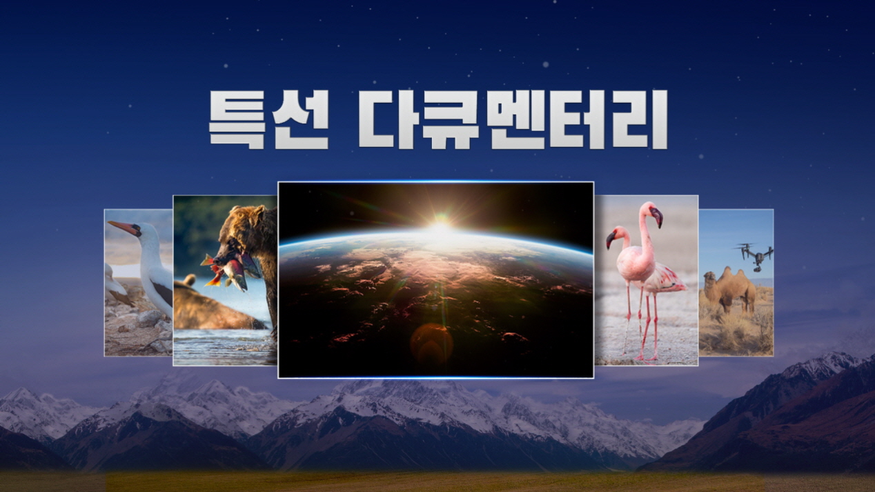 KBS걸작 다큐멘터리.260510.720p-NEXT