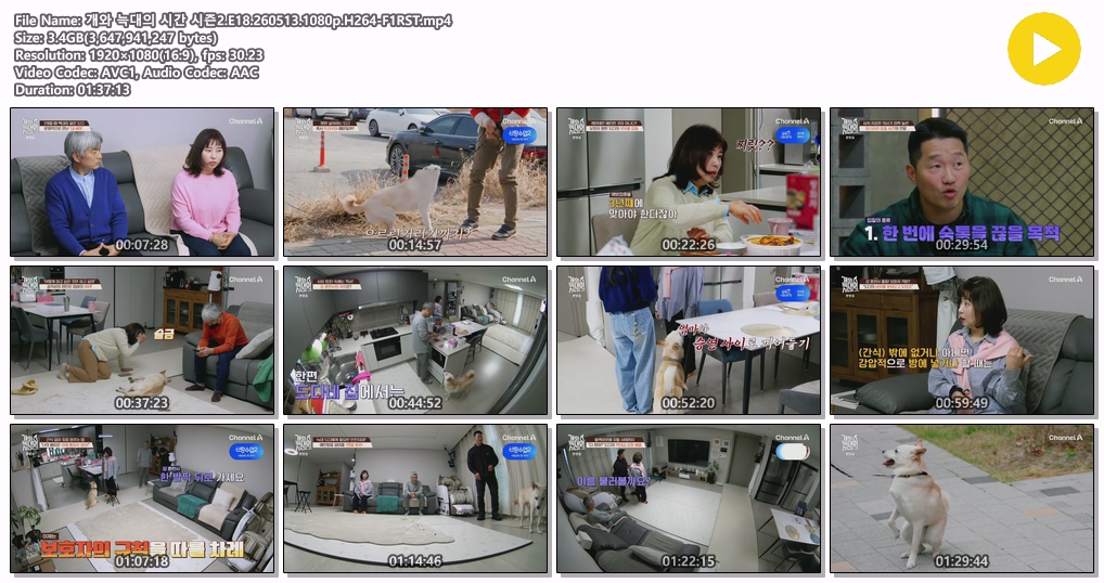 개와 늑대의 시간 시즌2.E18.260513.1080p.H264-F1RST