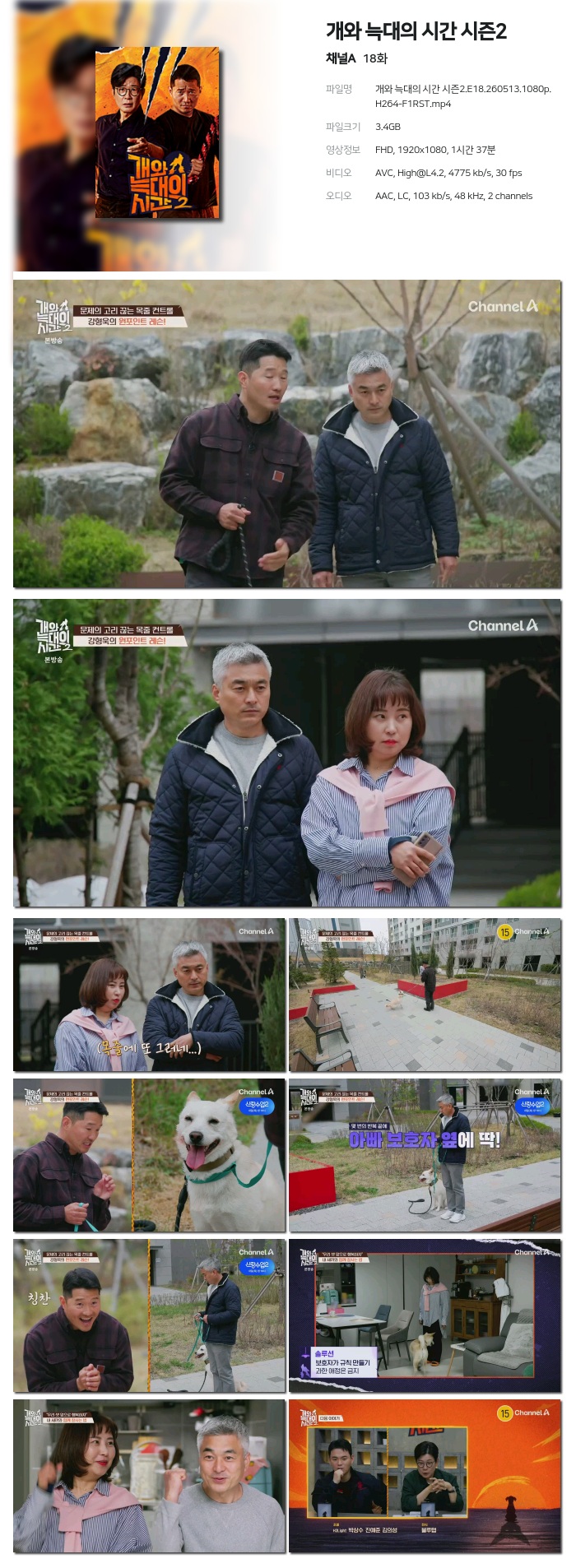 개와 늑대의 시간 시즌2.E18.260513.1080p.H264-F1RST