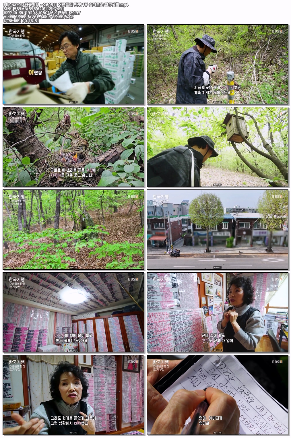 한국기행 - 260511 어른들의 딴짓 1부 슬..