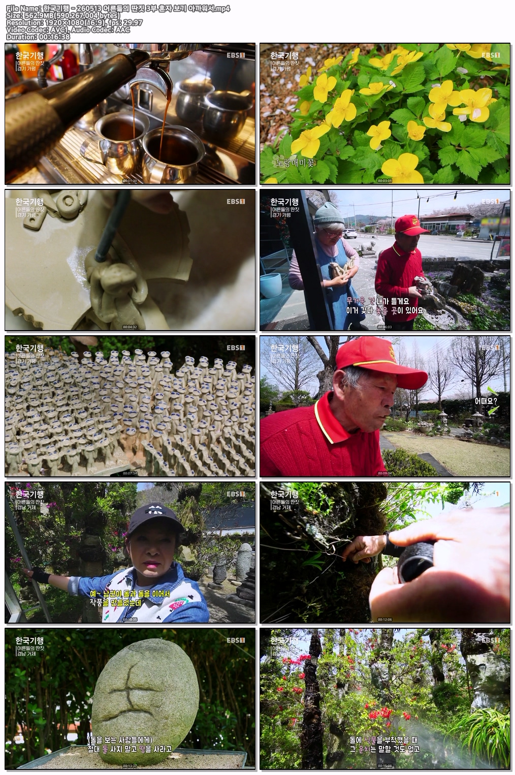 한국기행 - 260513 어른들의 딴짓 3부 혼자 보기 아까워서