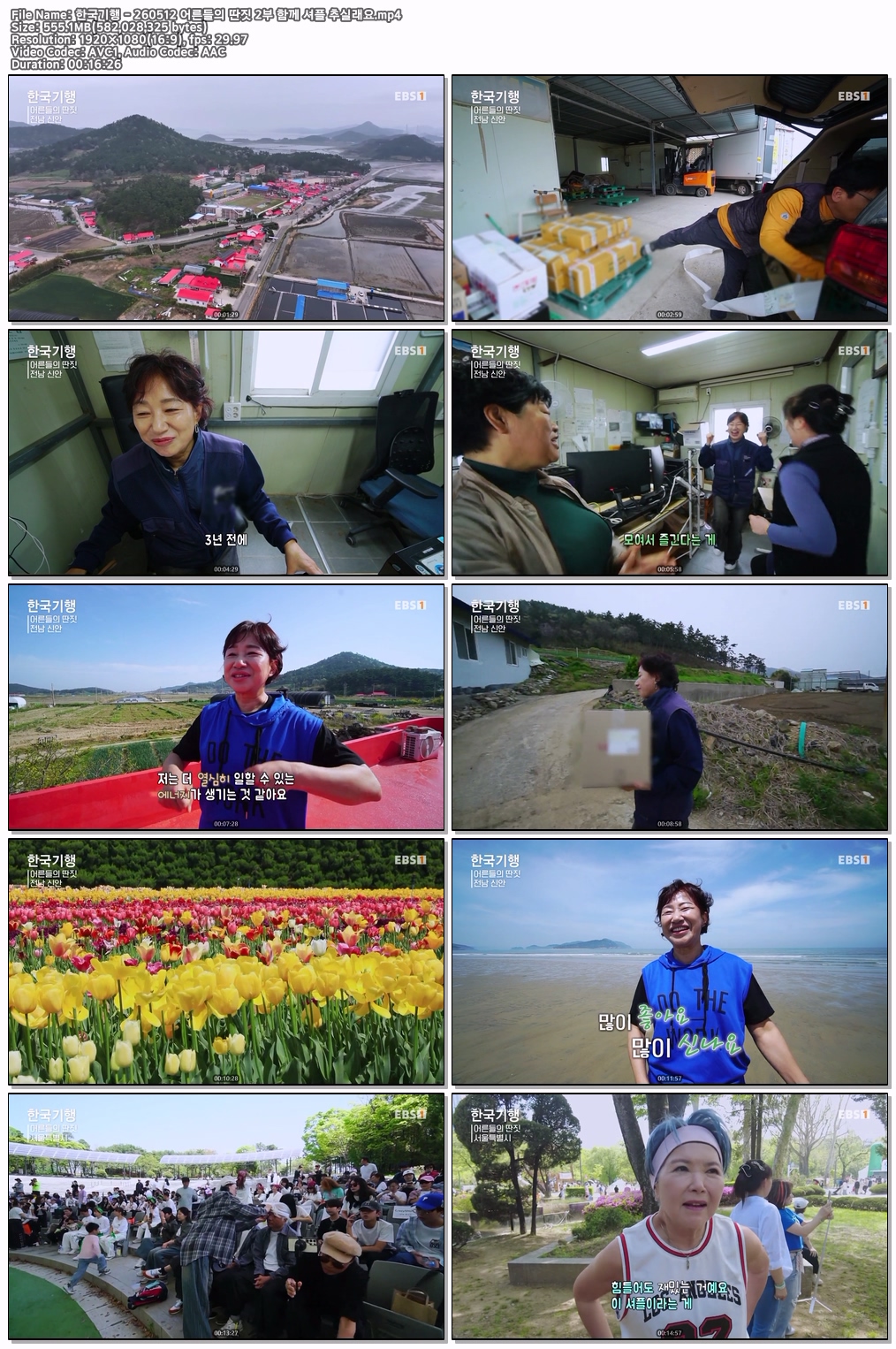 한국기행 - 260512 어른들의 딴짓 2부 함께 셔플 추실래요