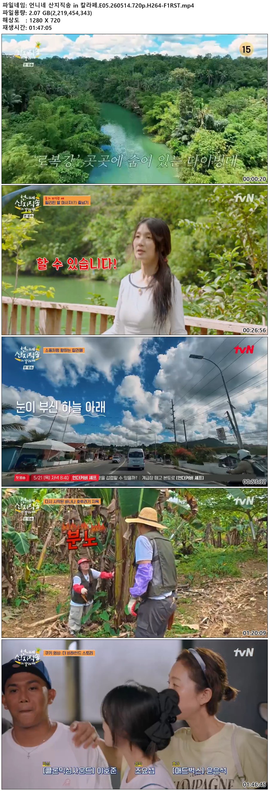 언니네 산지직송 in 칼라페.E05.260514.720p.H264-F1RST