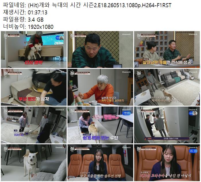 (Hit)개와 늑대의 시간 시즌2.E18.260513.1080p.H264-F1RST