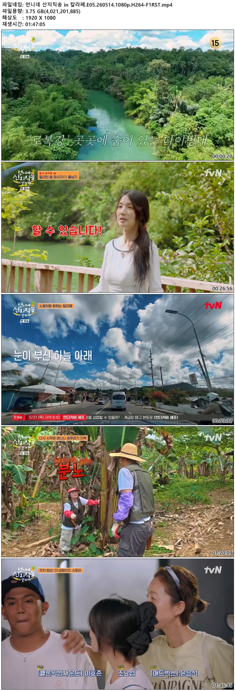 언니네 산지직송 in 칼라페.E05.260514.1080p.H264-F1RST