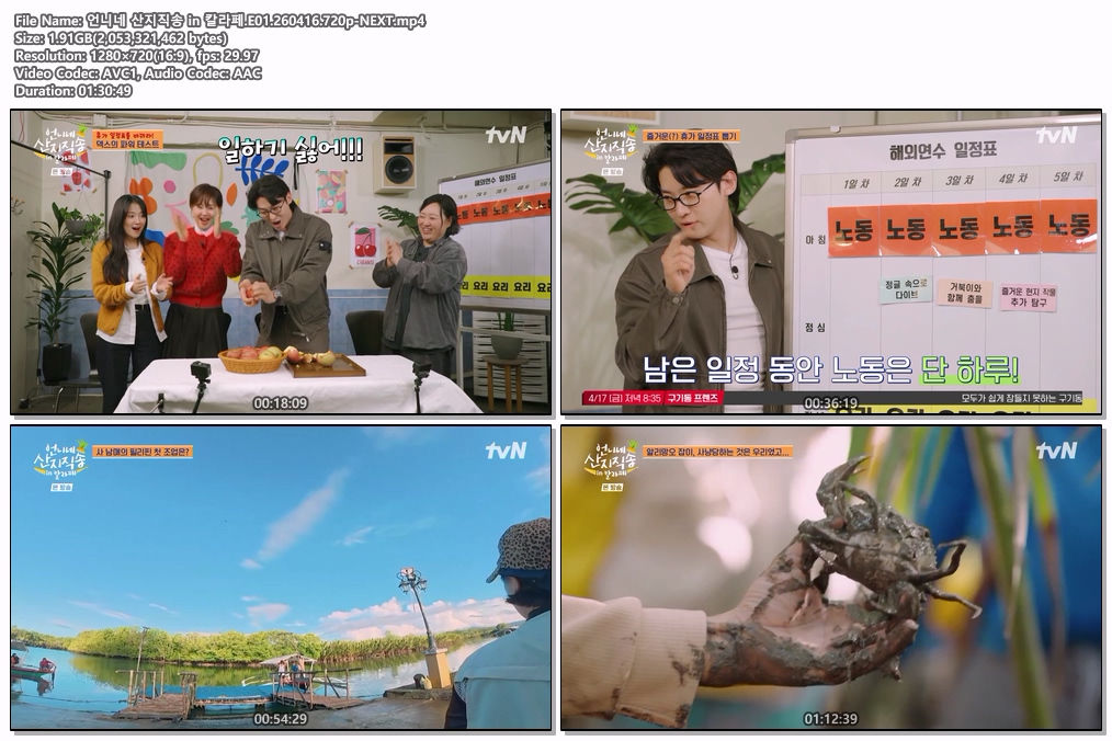[완결모음] 언니네 산지직송 in 칼라페.E01-E05.720p-NEXT