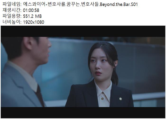 에스콰이어-변호사를.꿈꾸는.변호사들.Beyond.the.Bar.S01