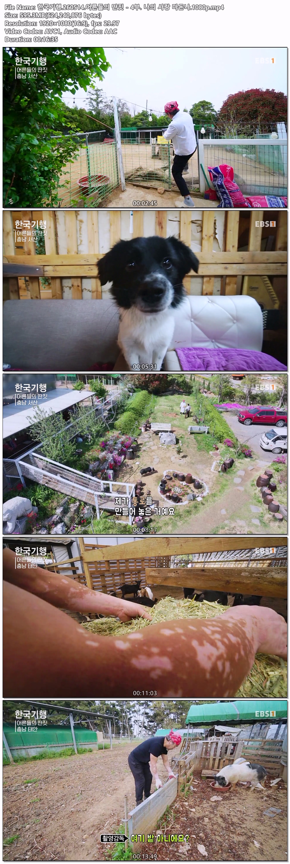 한국기행.260514.어른들의 딴짓 - 4부. 나의 사랑 마돈나.1080p