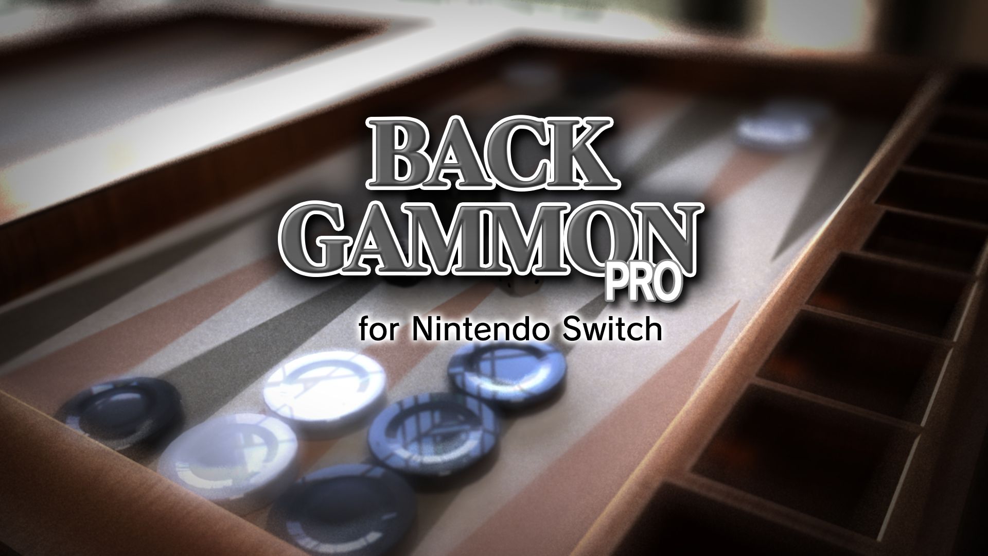[NSW] 백개먼 프로 (BACKGAMMON PRO)