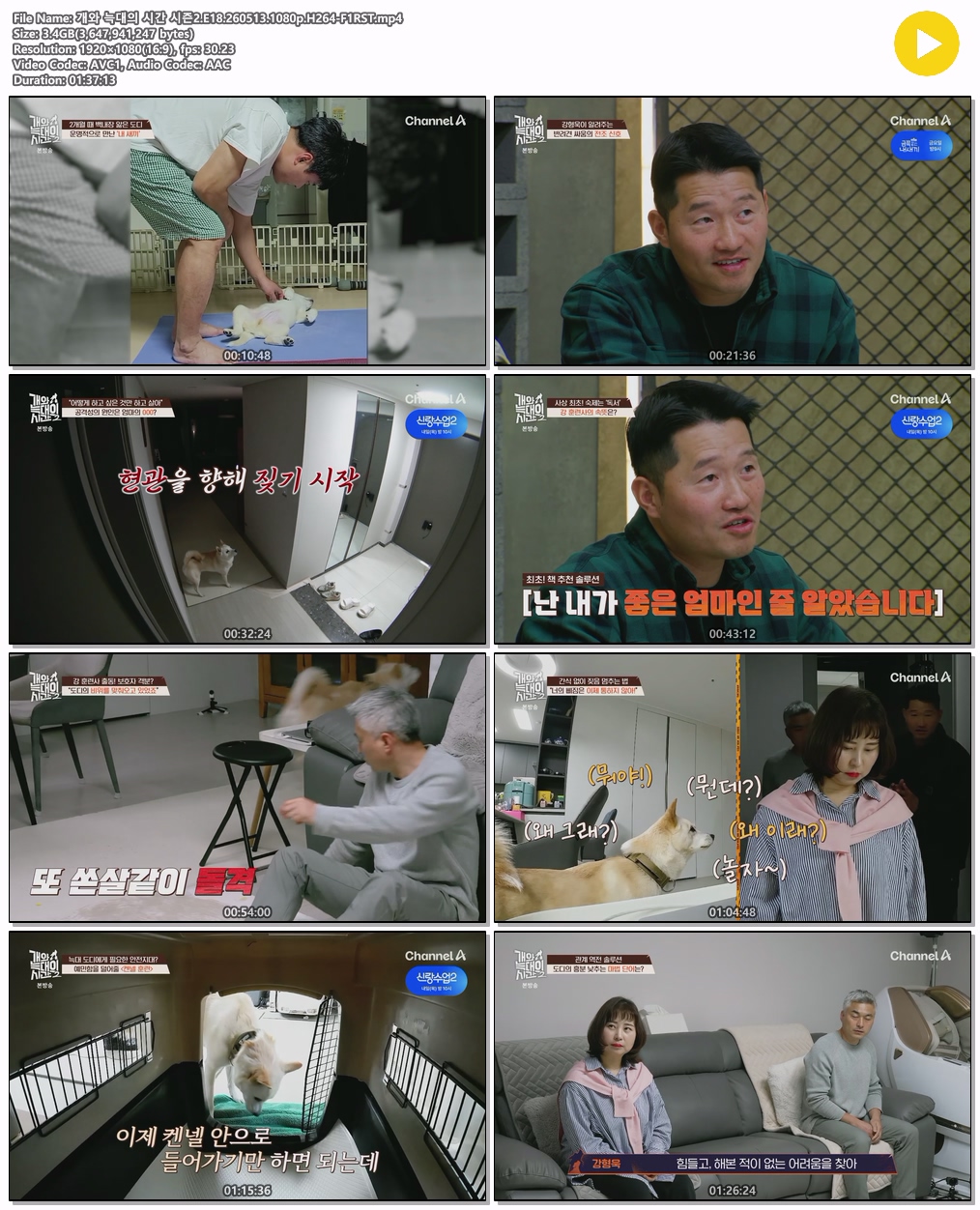 개와 늑대의 시간 시즌2.E18.260513.1080p.H264-F1RST