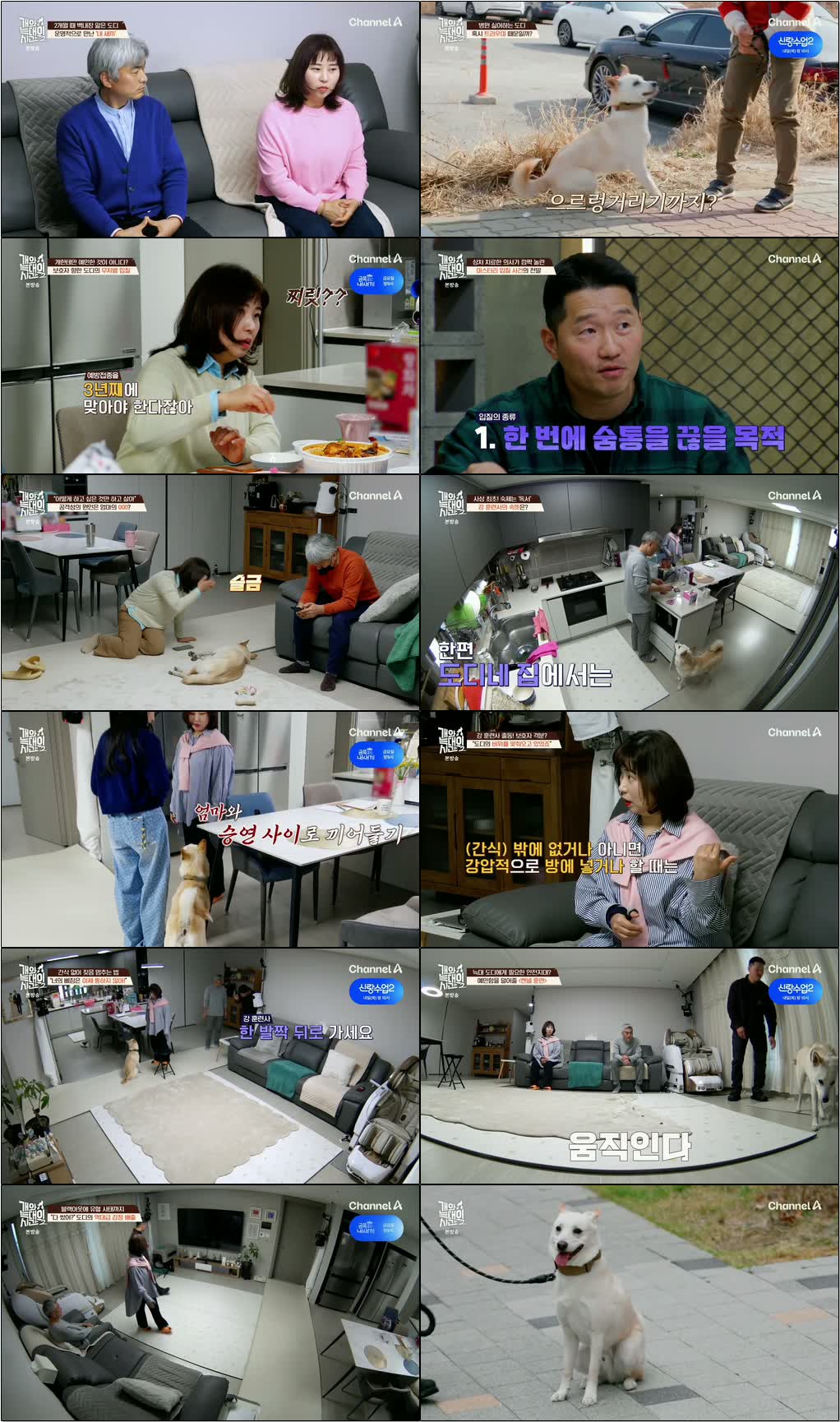 개와 늑대의 시간 시즌2.E18.260513.1080p.H264-F1RST