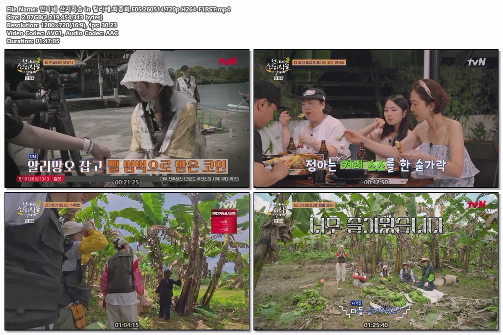 언니네 산지직송 in 칼라페.최종회.E05.260514.720p.H264-F1RST