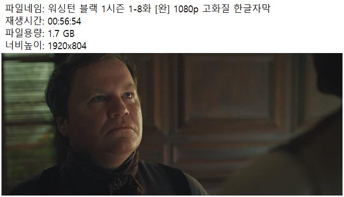 워싱턴 블랙 1시즌 1-8화 [완] 1080p 고화질 한글자막