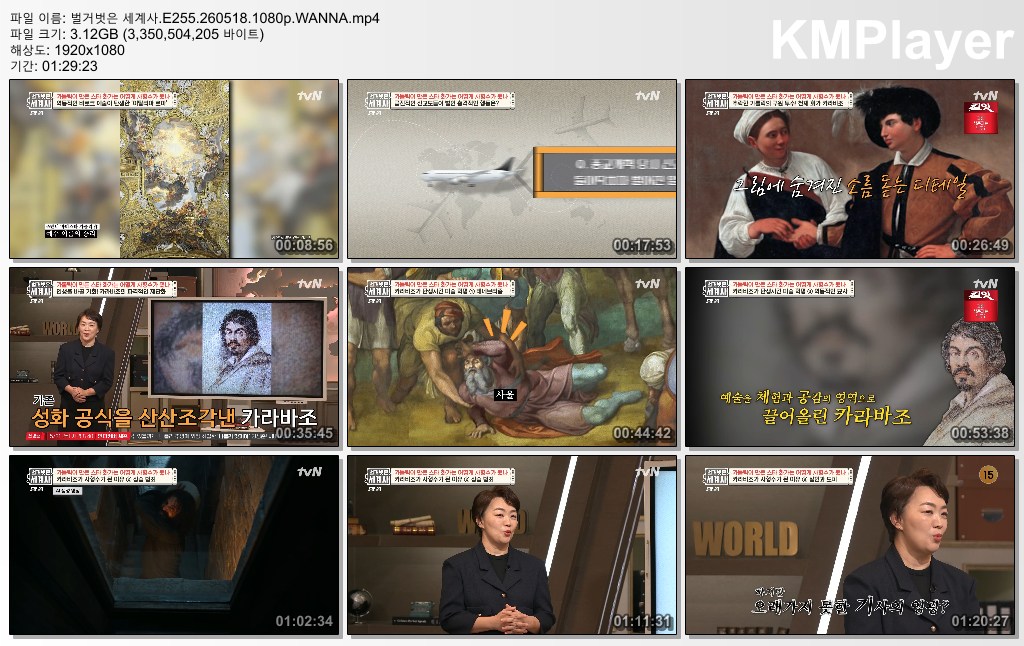 벌거벗은 세계사.E255.260518.1080p.WANNA