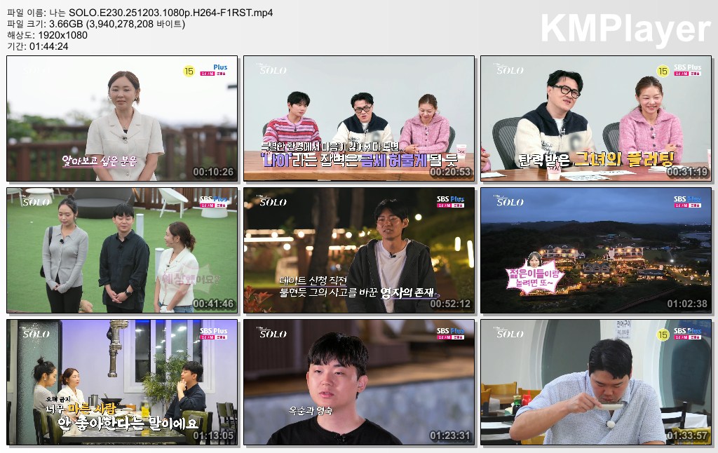 나는 SOLO.E230.251203.1080p.H264-F1RST