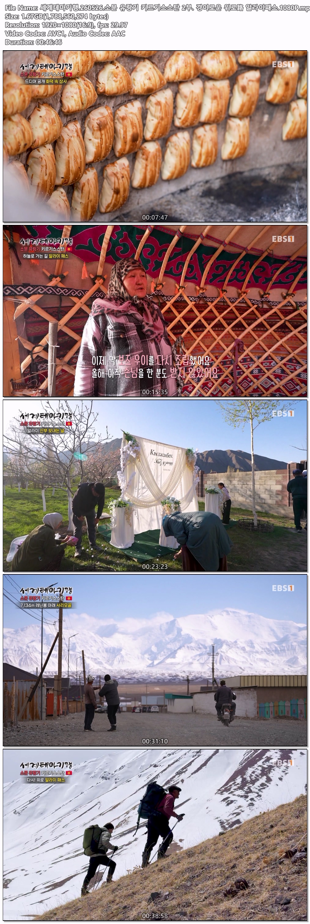 세계테마기행.260526.소문 유랑기 키르기스스탄 2부. 경이로운 위로路 알라이패스.1080P