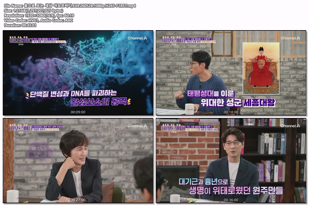 몸으로 보는 세상 아모르바디.E49.260528.1080p.H265-F1RST